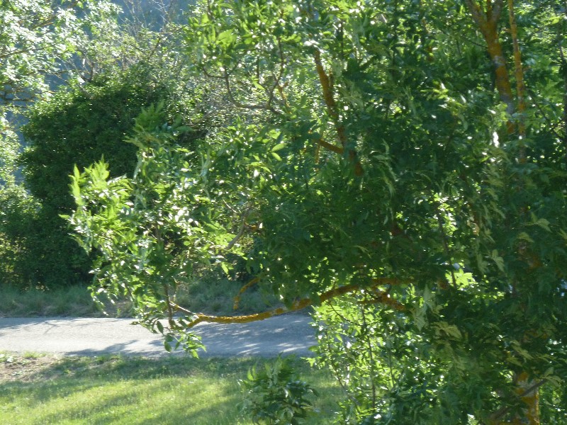 ../Images/2012-07-07-17h01m28 .jpg